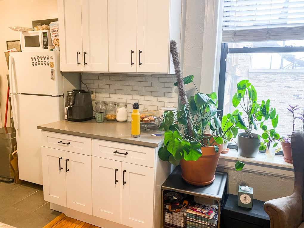 959 W. Webster 959 W. Webster, Chicago, IL 60614 - Leasing by Cross Street